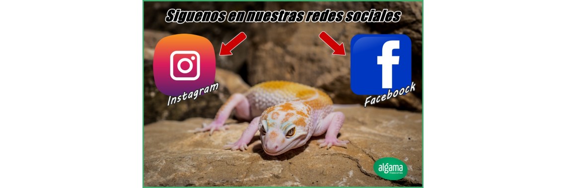 Redes sociales